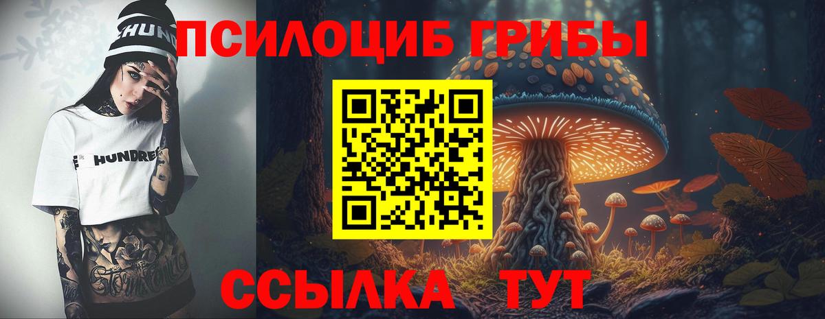 где купить   Вход с VPN  Воскресенск  Галлюциногенные грибы мухоморы 
